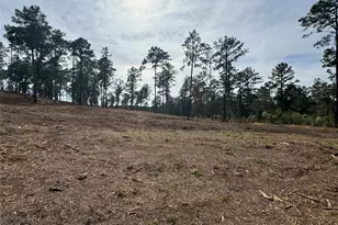 000896 County Road 219, Brookeland, TX 75931 - Photo 26