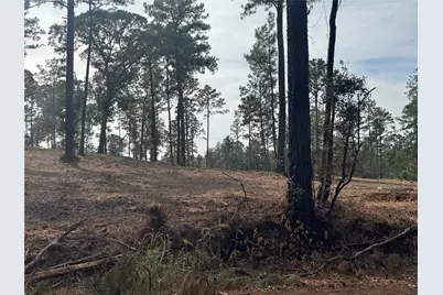 000896 County Road 219, Brookeland, TX 75931 - Photo 18