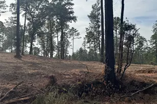 000896 County Road 219, Brookeland, TX 75931 - Photo 18