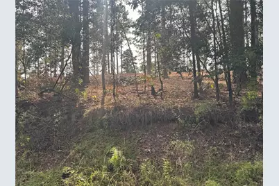 000896 County Road 219, Brookeland, TX 75931 - Photo 14