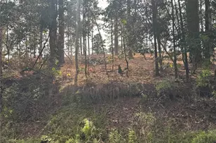 000896 County Road 219, Brookeland, TX 75931 - Photo 14