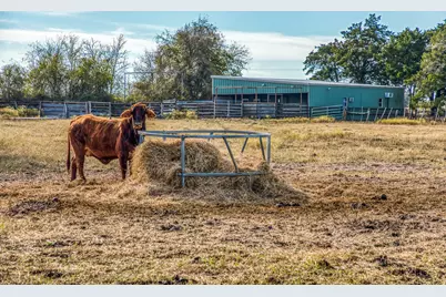 7300-2 Goehring Road, Ledbetter, TX 78946 - Photo 18