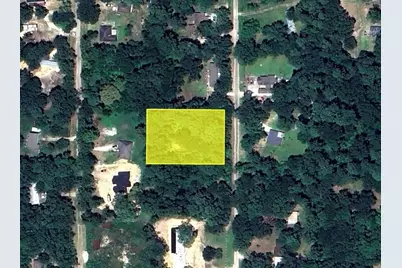 21208 Lyndall Lane, Porter, TX 77365 - Photo 4