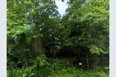 21208 Lyndall Lane, Porter, TX 77365 - Photo 2