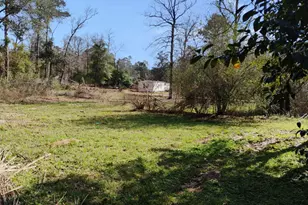 229 Lincoln Dr, Livingston, TX 77351 - Photo 10