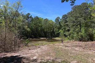 955 Co Rd 3520, Woodville, TX 75979 - Photo 18
