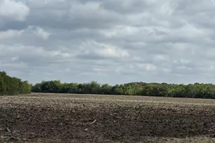 51 1 Acres County Road 3603, Quinlan, TX 75474 - Photo 6