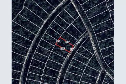 Lot 4 Big Brave Circle, Waller, TX 77445 - Photo 2