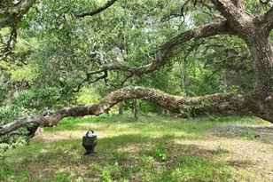 17718 Tranquil Ln, Cat Spring, TX 78933 - Photo 6