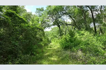 17718 Tranquil Lane, Cat Spring, TX 78933 - Photo 8