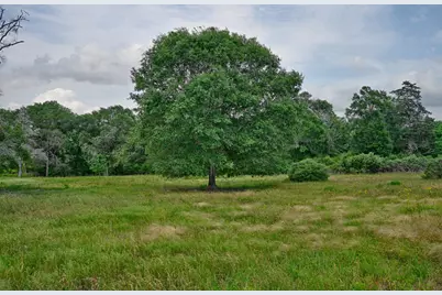 17718 Tranquil Lane, Cat Spring, TX 78933 - Photo 2