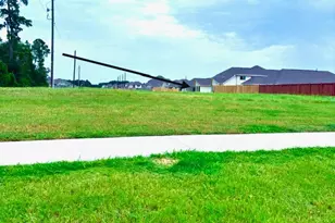3231 Raintree Crescent Trail, Spring, TX 77386 - Photo 16