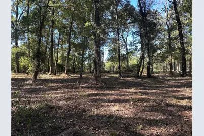 27316 Frye Road, Splendora, TX 77372 - Photo 1