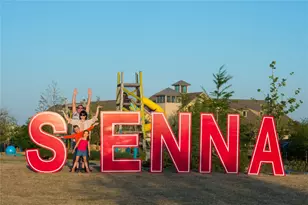 1215 Shaded Rock Dr, Missouri City, TX 77459 - Photo 26