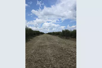 36847 Richard Frey 1-9 Road, Hempstead, TX 77445 - Photo 10