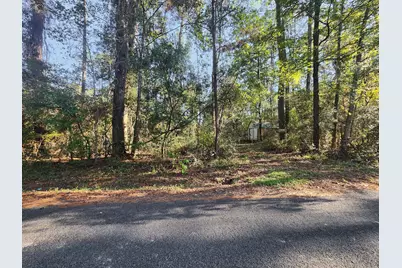 145 Dancing Flame, Livingston, TX 77351 - Photo 2