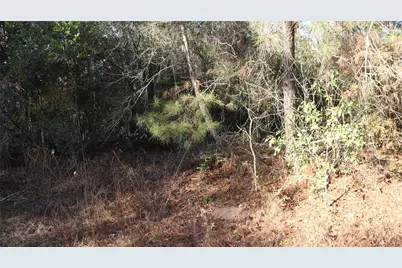 0 Pin Tail Drive, Coldspring, TX 77331 - Photo 1