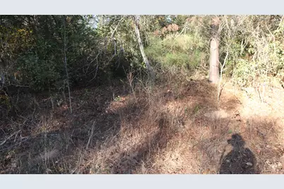 0 Pin Tail Drive, Coldspring, TX 77331 - Photo 2