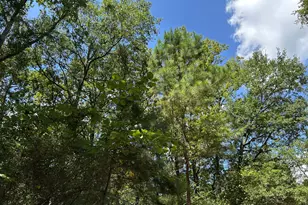 87 Townley Ranch Rd, Huntsville, TX 77320 - Photo 48