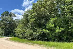 87 Townley Ranch Rd, Huntsville, TX 77320 - Photo 2