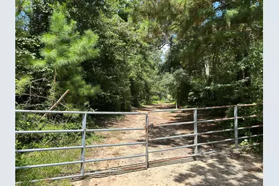 87 Townley Ranch Road, Huntsville, TX 77320 - Photo 4