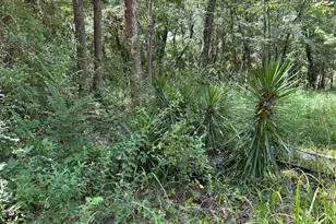 87 Townley Ranch Rd, Huntsville, TX 77320 - Photo 42