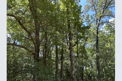 87 Townley Ranch Road, Huntsville, TX 77320 - Photo 44