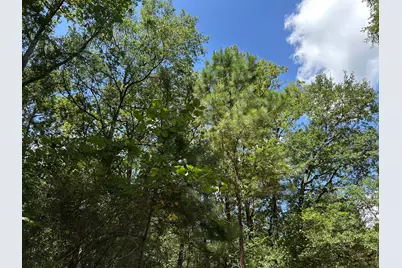 87 Townley Ranch Road, Huntsville, TX 77320 - Photo 48