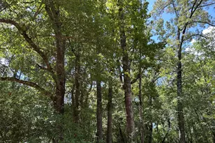 87 Townley Ranch Rd, Huntsville, TX 77320 - Photo 44