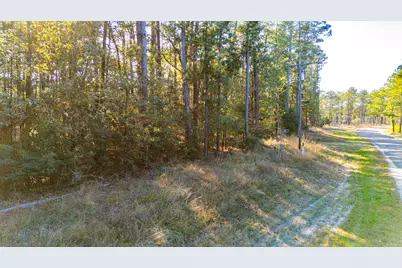 0313 King Ranch Road South, Onalaska, TX 77360 - Photo 22