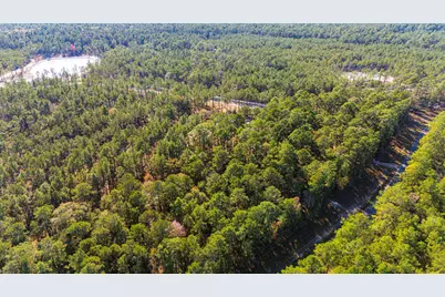 0313 King Ranch Road South, Onalaska, TX 77360 - Photo 16