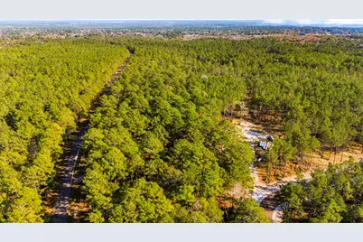 0313 King Ranch Road South, Onalaska, TX 77360 - Photo 14