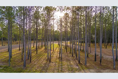 0313 King Ranch Road South, Onalaska, TX 77360 - Photo 6