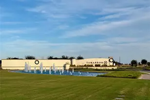 30751 Wicklow Gdns Dr, Fulshear, TX 77441 - Photo 28