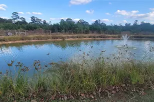 18500 Fm 2090 Rd, Conroe, TX 77306 - Photo 12