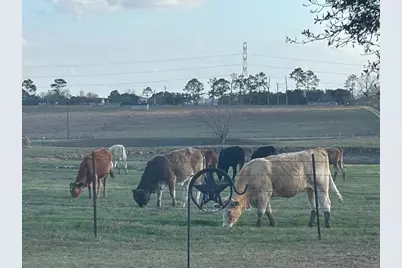 1100 Swiss Alp Hills Loop, Schulenburg, TX 78956 - Photo 2