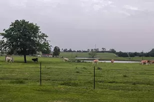 1100 Swiss Alp Hills Loop, Schulenburg, TX 78956 - Photo 40