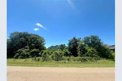 Lot 16 King Oaks Drive, Iola, TX 77861 - Photo 6