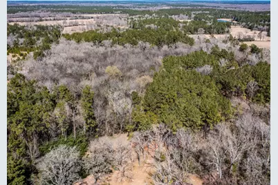 382 Sawmill Drive, Lovelady, TX 75851 - Photo 22