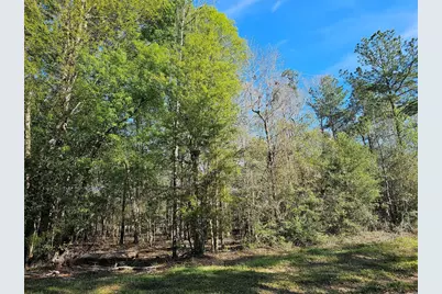 0 Magnolia Woods Drive, Livingston, TX 77351 - Photo 2