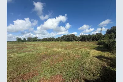 0 Cr 353, Brazoria, TX 77422 - Photo 4