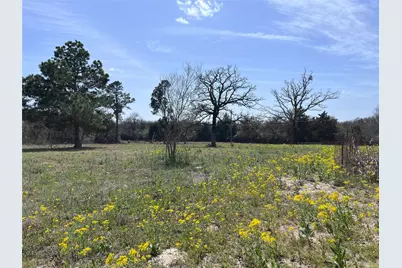 296 Lcr 702, Kosse, TX 76653 - Photo 16