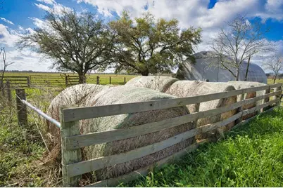10310 Fm 361 Road, Needville, TX 77461 - Photo 10