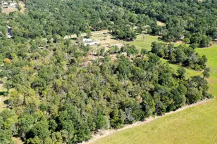 9486 Puddin Ln, Madisonville, TX 77864 - Photo 4