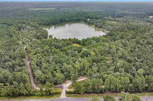 328 Dogwood Forest Trail, Trinity, TX 75862 - Photo 42