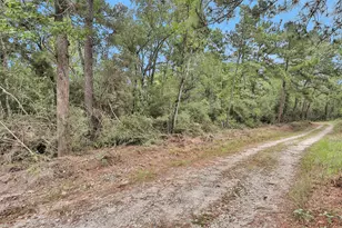 328 Dogwood Forest Trail, Trinity, TX 75862 - Photo 34