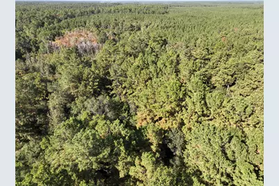 2357 County Road 4850, Warren, TX 77664 - Photo 24