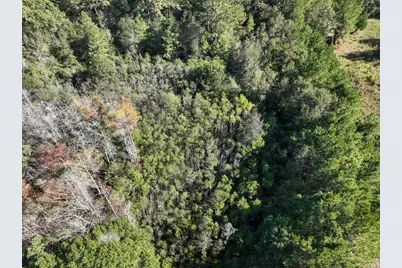 2357 County Road 4850, Warren, TX 77664 - Photo 30