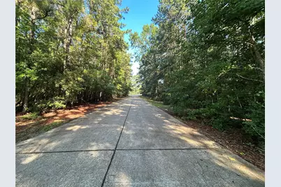 Lot 16 Force Street, Woodville, TX 75979 - Photo 6