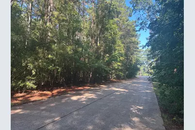 Lot 16 Force Street, Woodville, TX 75979 - Photo 1